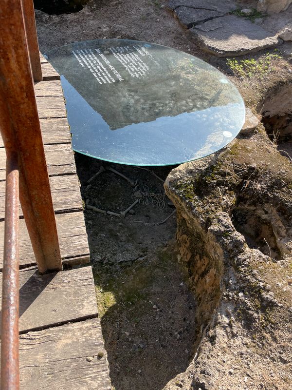 Glass roof over the excavation site — Dmanisi Museum