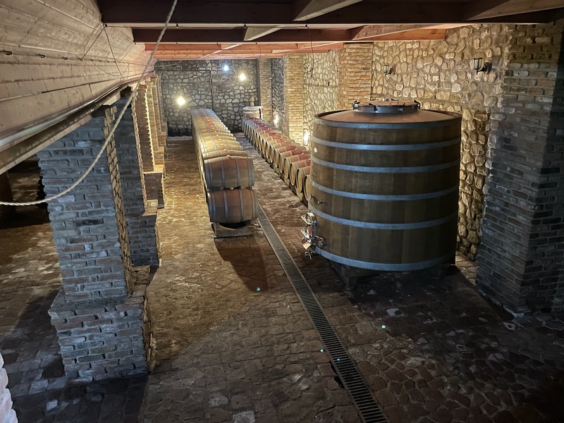 Wine cellar with oak barrels and tanks