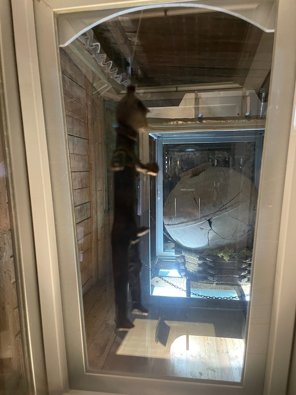 Ancient qvevri in a museum display