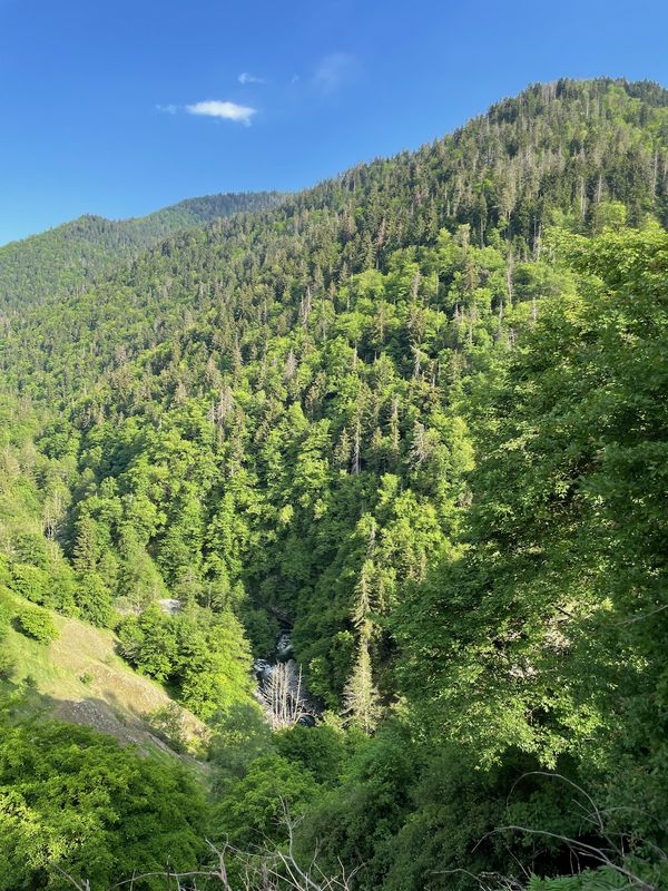 View of a forested mountain valley
