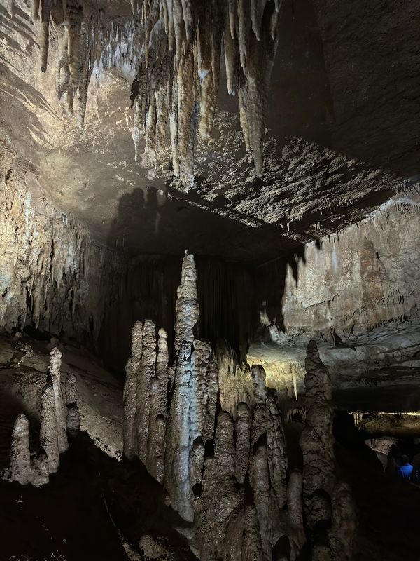 Group of tall stalagmites beneath an overhanging cave ceiling