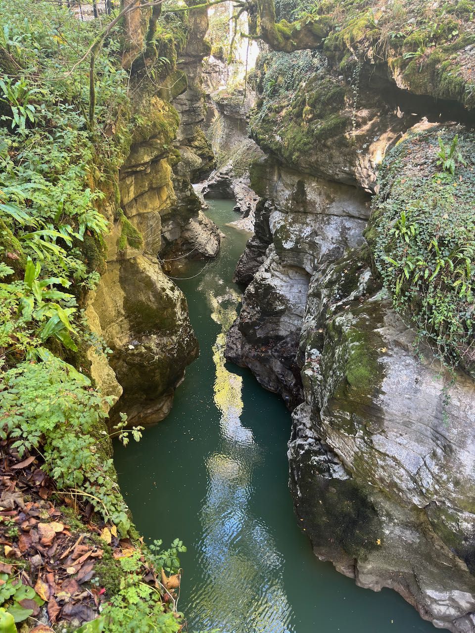 Deep narrow canyon with a river at the bottom